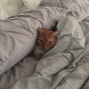 Meet your Posher, Carrie